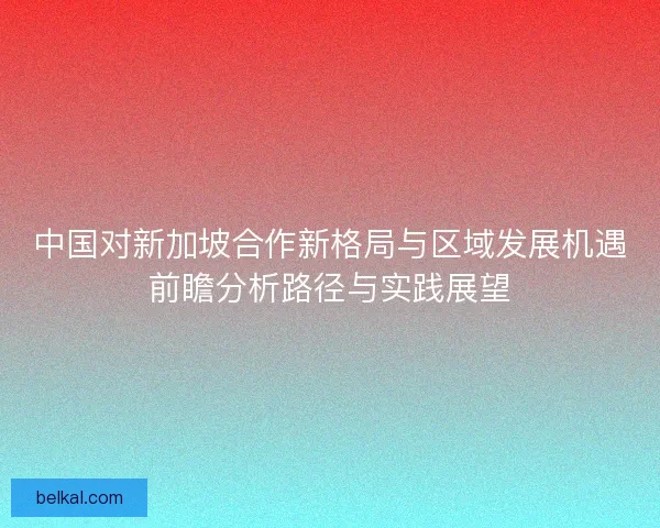 中国对新加坡合作新格局与区域发展机遇前瞻分析路径与实践展望